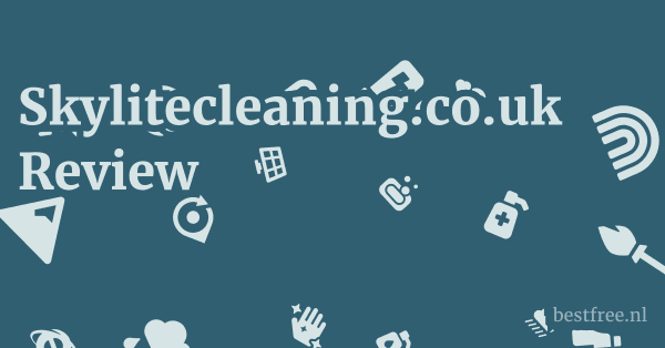 Skylitecleaning.co.uk Review 1 by BestFREE.nl