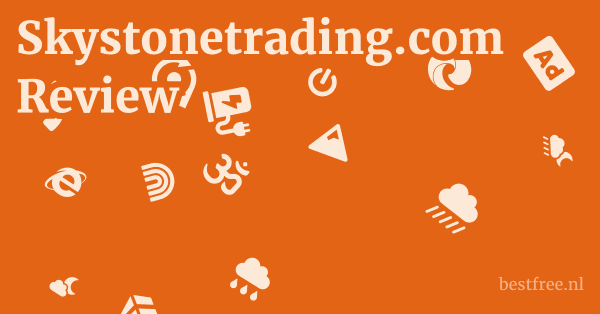 Skystonetrading.com Review 1 by BestFREE.nl