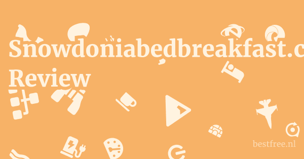 Snowdoniabedbreakfast.co.uk Review 1 by BestFREE.nl