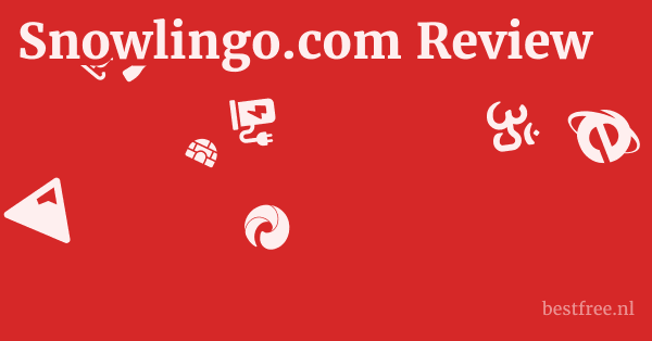 Snowlingo.com Review 1 by BestFREE.nl