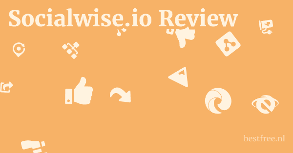 Socialwise.io Review 1 by BestFREE.nl