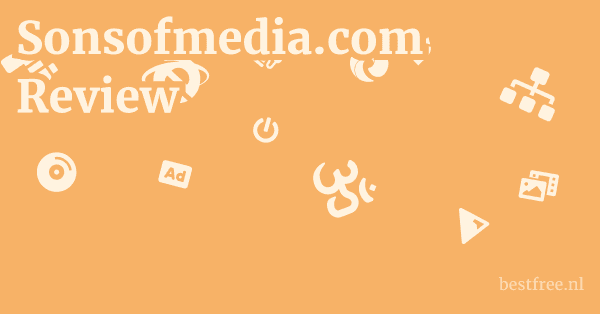 Sonsofmedia.com Review 1 by BestFREE.nl