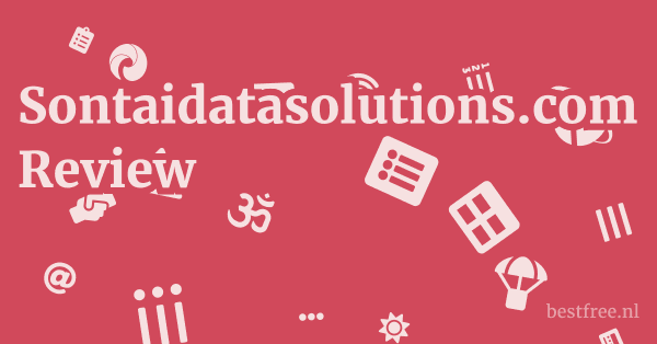 Sontaidatasolutions.com Review 1 by BestFREE.nl