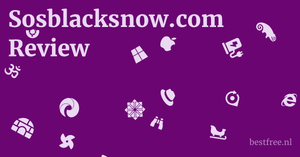Sosblacksnow.com Review 1 by BestFREE.nl