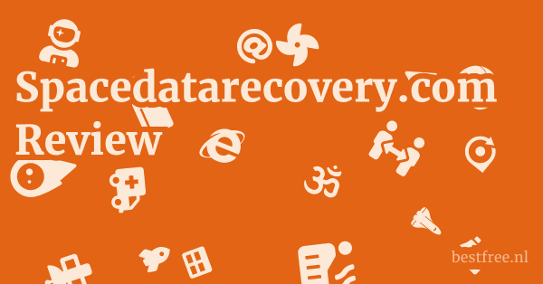 Spacedatarecovery.com Review 1 by BestFREE.nl