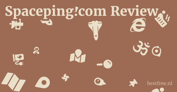 Spaceping.com Review 1 by BestFREE.nl