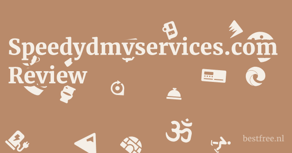 Speedydmvservices.com Review 1 by BestFREE.nl