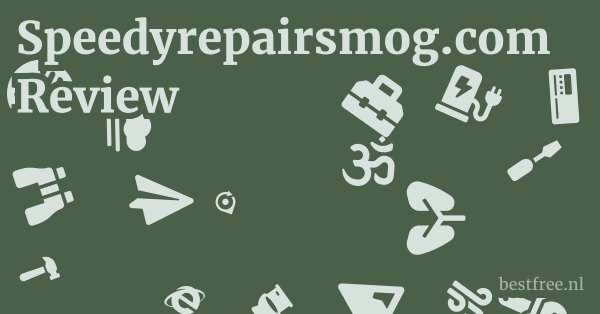Speedyrepairsmog.com Review 1 by BestFREE.nl