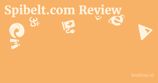 Spibelt.com Review 1 by BestFREE.nl