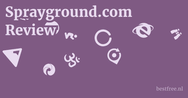 Sprayground.com Review 1 by BestFREE.nl