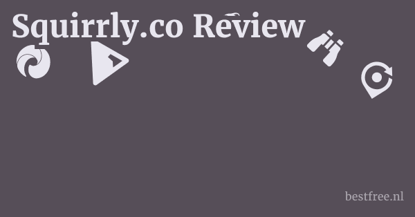 Squirrly.co Review 1 by BestFREE.nl
