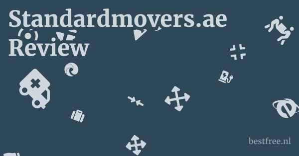Standardmovers.ae Review 1 by BestFREE.nl