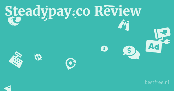 Steadypay.co Review 1 by BestFREE.nl