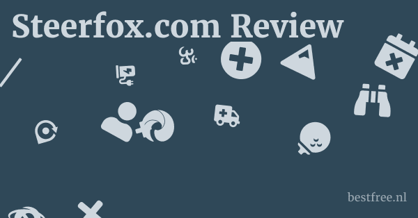 Steerfox.com Review 1 by BestFREE.nl