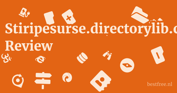 Stiripesurse.directorylib.com Review 1 by BestFREE.nl