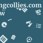 Stirlingcollies.com Review 7 by BestFREE.nl