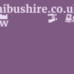Stminibushire.co.uk Review 9 by BestFREE.nl