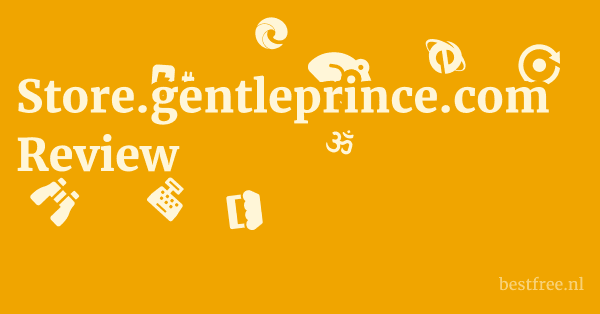 Store.gentleprince.com Review 1 by BestFREE.nl