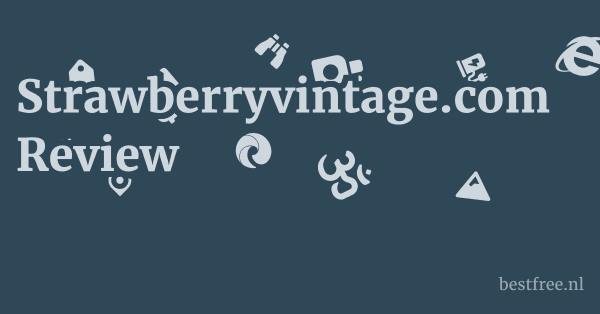 Strawberryvintage.com Review 1 by BestFREE.nl
