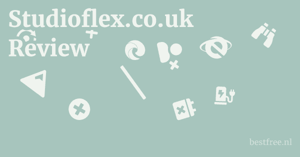 Studioflex.co.uk Review 1 by BestFREE.nl