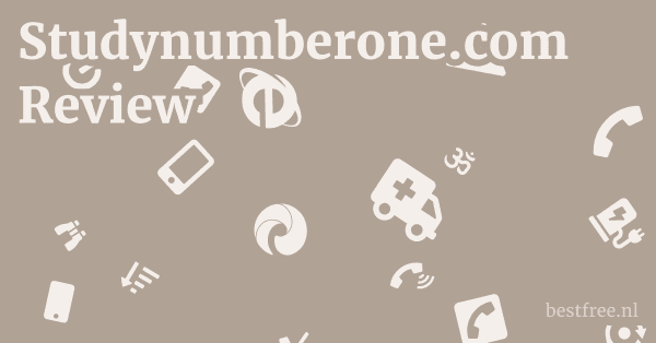 Studynumberone.com Review 1 by BestFREE.nl