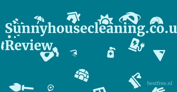 Sunnyhousecleaning.co.uk Review 1 by BestFREE.nl