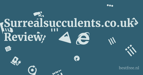 Surrealsucculents.co.uk Review 1 by BestFREE.nl