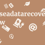 Swanseadatarecovery.co.uk Review 13 by BestFREE.nl
