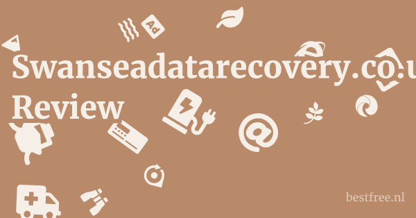 Swanseadatarecovery.co.uk Review 1 by BestFREE.nl