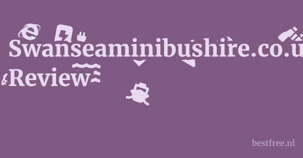 Swanseaminibushire.co.uk Review