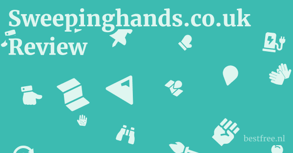 Sweepinghands.co.uk Review 1 by BestFREE.nl