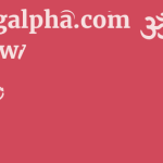 Swingalpha.com Review 9 by BestFREE.nl