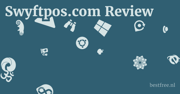 Swyftpos.com Review 1 by BestFREE.nl