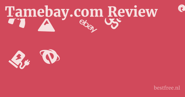 Tamebay.com Review 1 by BestFREE.nl
