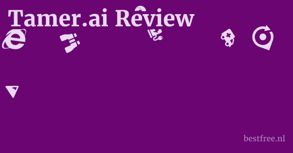 Tamer.ai Review 1 by BestFREE.nl