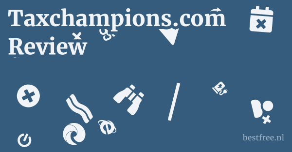 Taxchampions.com Review 1 by BestFREE.nl