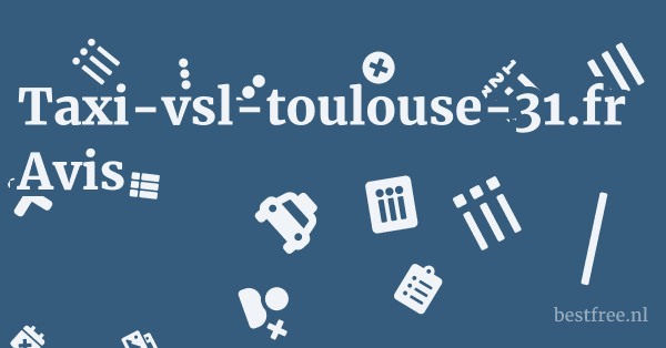 Taxi-vsl-toulouse-31.fr Avis 1 by BestFREE.nl