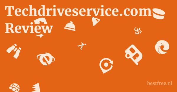 Techdriveservice.com Review 1 by BestFREE.nl