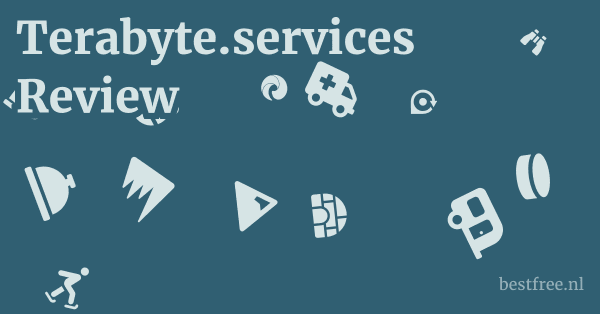 Terabyte.services Review 1 by BestFREE.nl