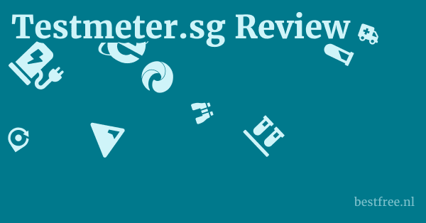 Testmeter.sg Review 1 by BestFREE.nl
