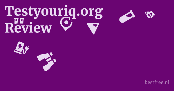 Testyouriq.org Review 1 by BestFREE.nl