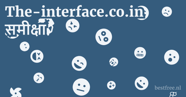 The-interface.co.in समीक्षा 1 by BestFREE.nl
