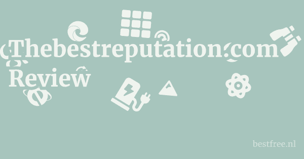 Thebestreputation.com Review 1 by BestFREE.nl