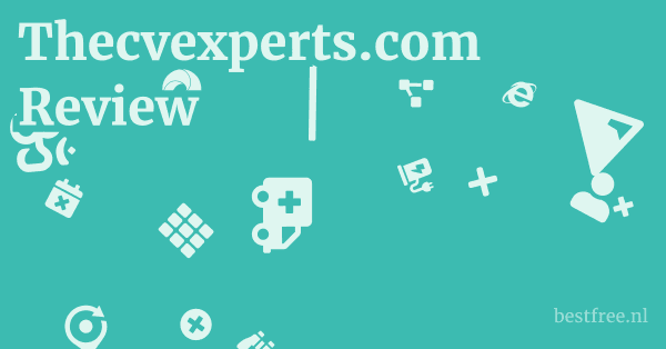 Thecvexperts.com Review 1 by BestFREE.nl