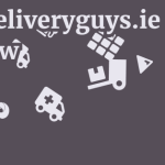 Thedeliveryguys.ie Review 13 by BestFREE.nl