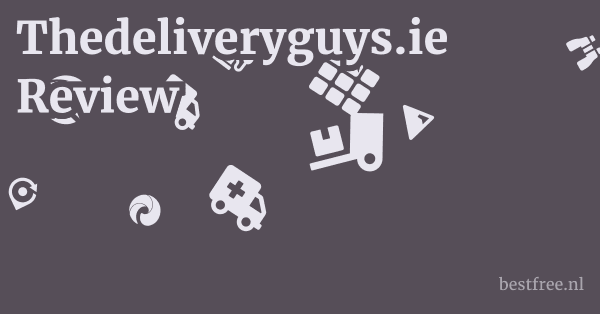 Thedeliveryguys.ie Review 1 by BestFREE.nl