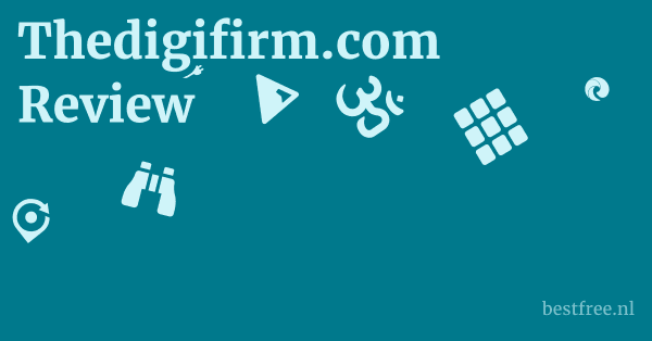 Thedigifirm.com Review 1 by BestFREE.nl