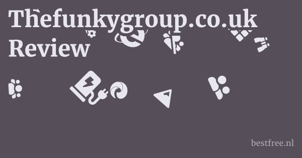 Thefunkygroup.co.uk Review 1 by BestFREE.nl