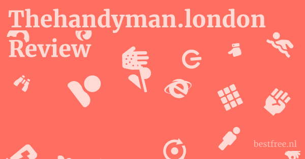 Thehandyman.london Review 1 by BestFREE.nl