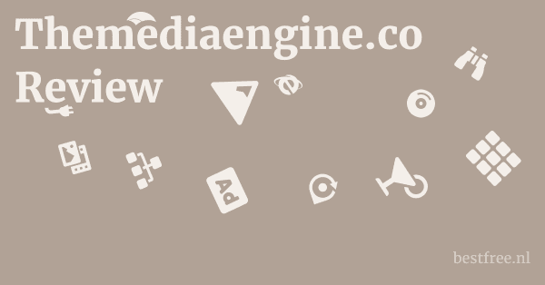 Themediaengine.co Review 1 by BestFREE.nl